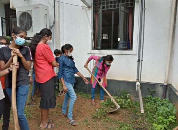 අලුතින් හිතන තාරුණ්‍යයට සරුසාර හෙටක්